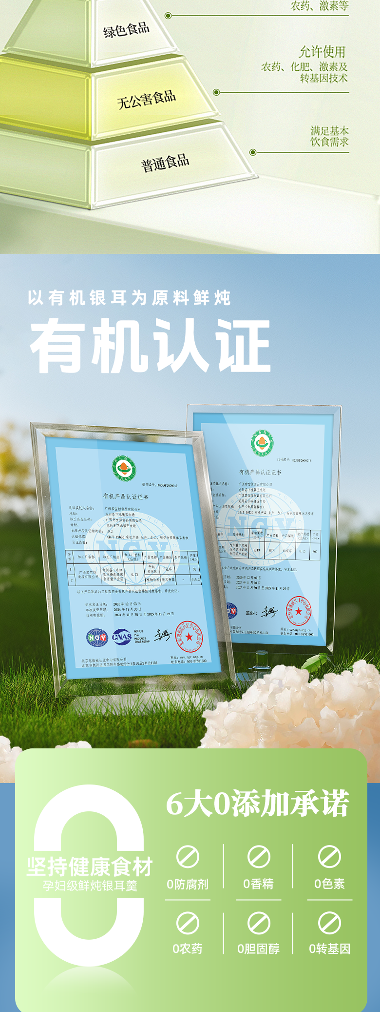 茉莉桂花详情_04.png