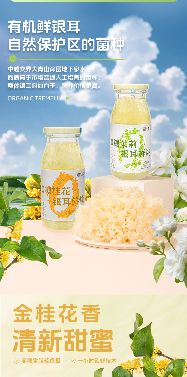 茉莉桂花详情_05.png