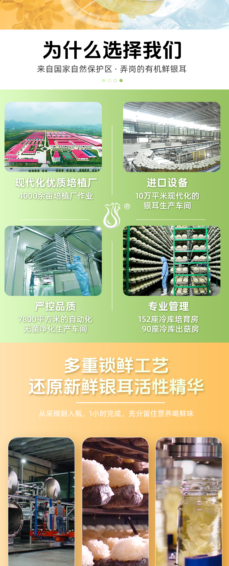 茉莉桂花详情_08.png