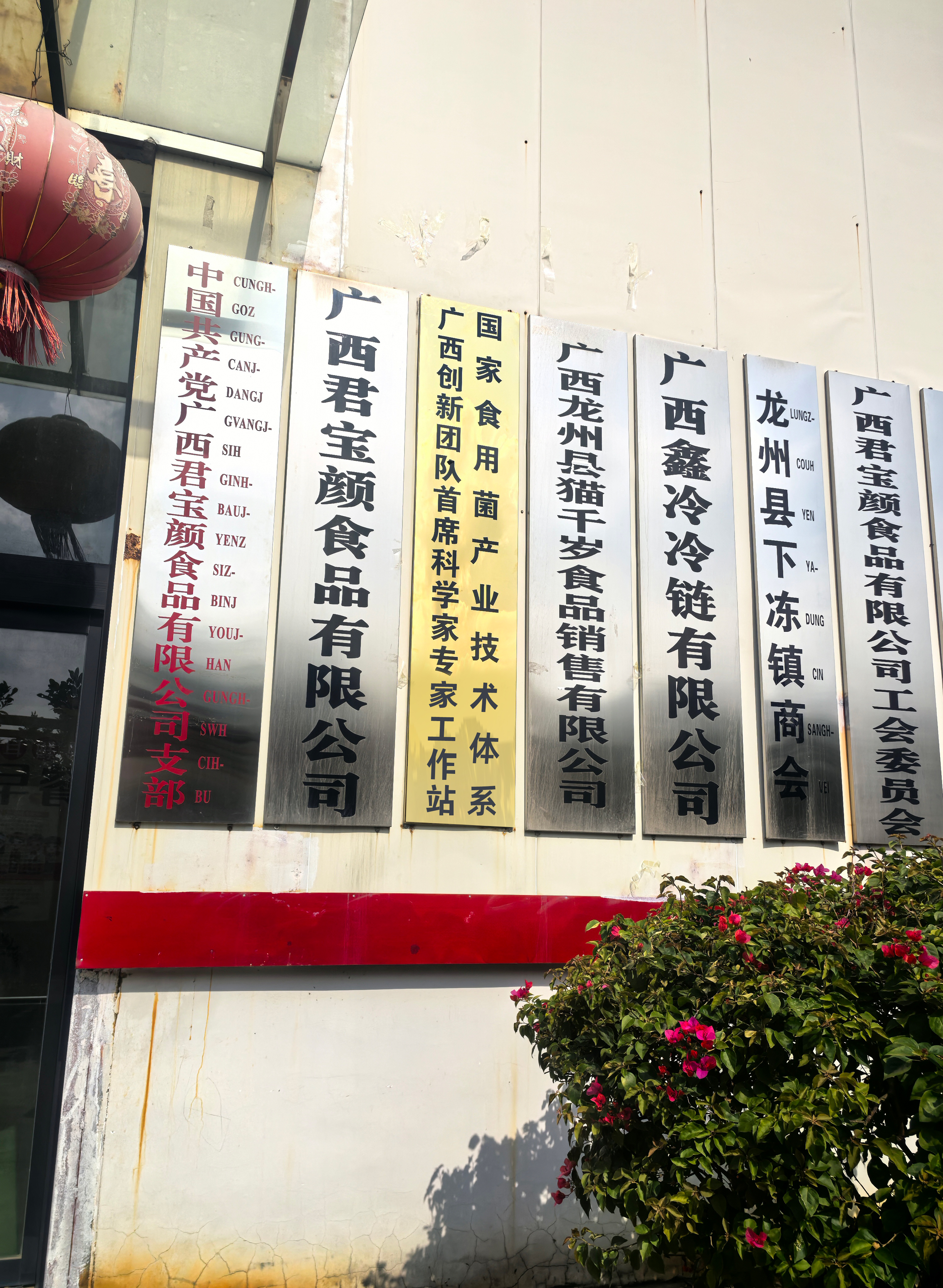 国家食用菌产业技术体系广西创新团队“首席科学家专家工作站”正式揭牌落户(图2) 0c4229aa5b1e78a70b924aa4dfd37552.jpg