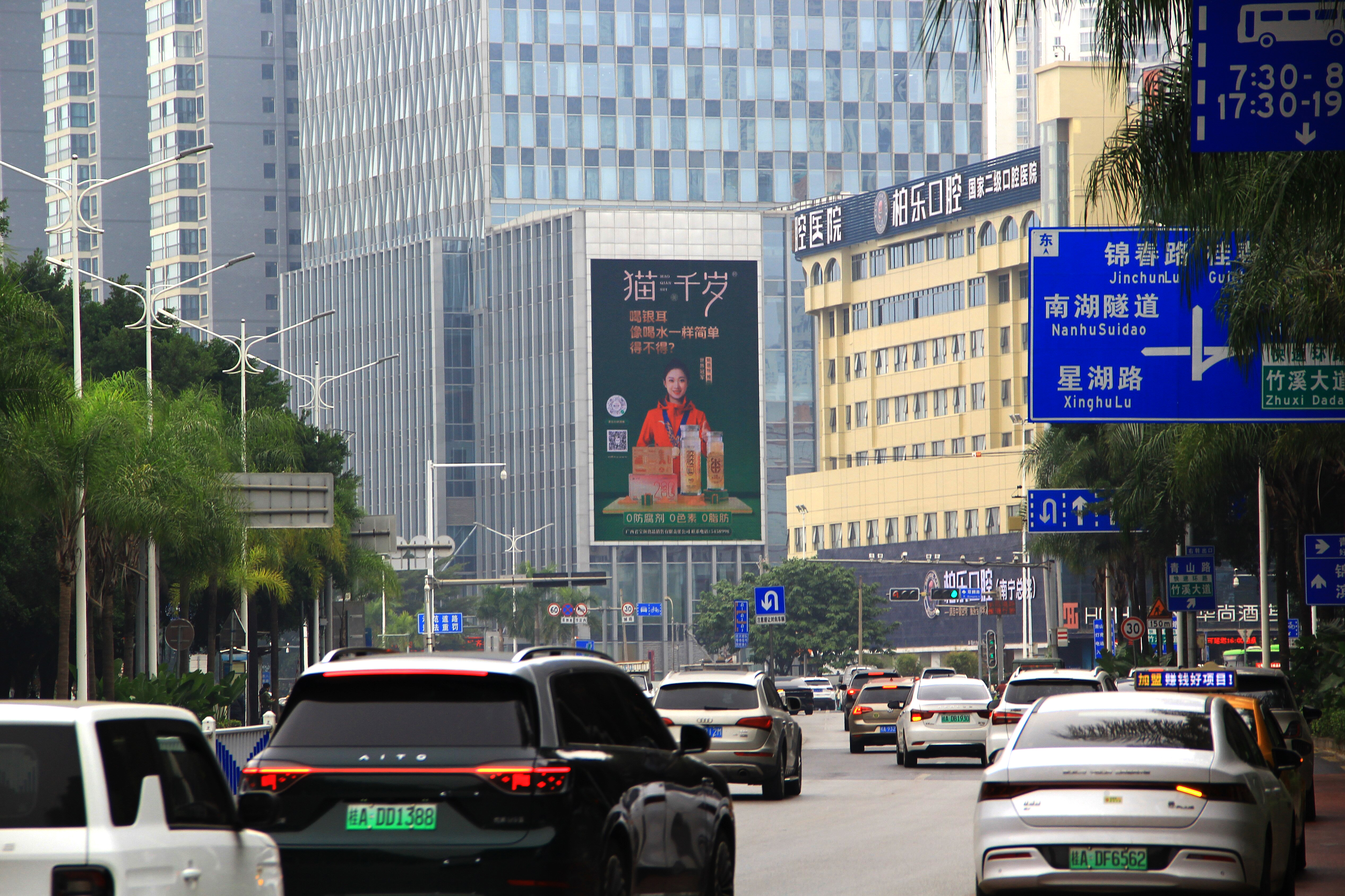 南湖名都 (2).jpg